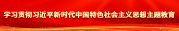 操女人的肥逼视频学习贯彻习近平新时代中国特色社会主义思想主题教育